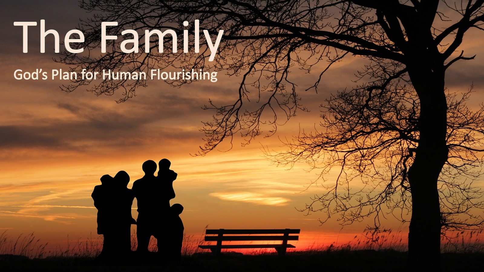 The Family – God’s Plan for Human Flourishing
