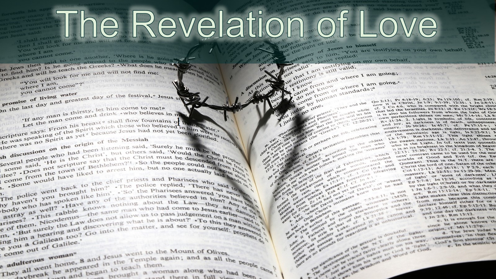 The Revelation of Love